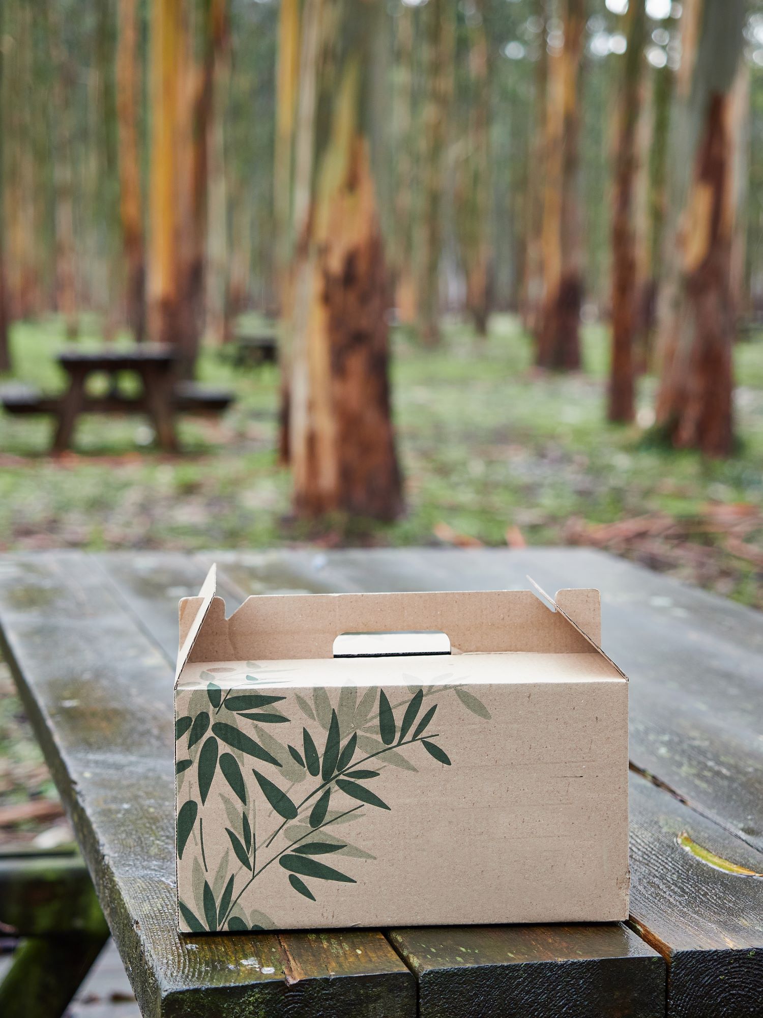 eco friendly packaging